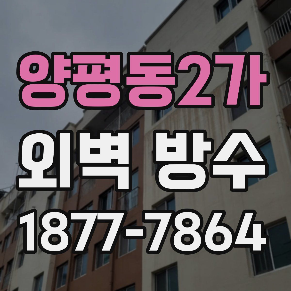 양평동2가 외벽 방수