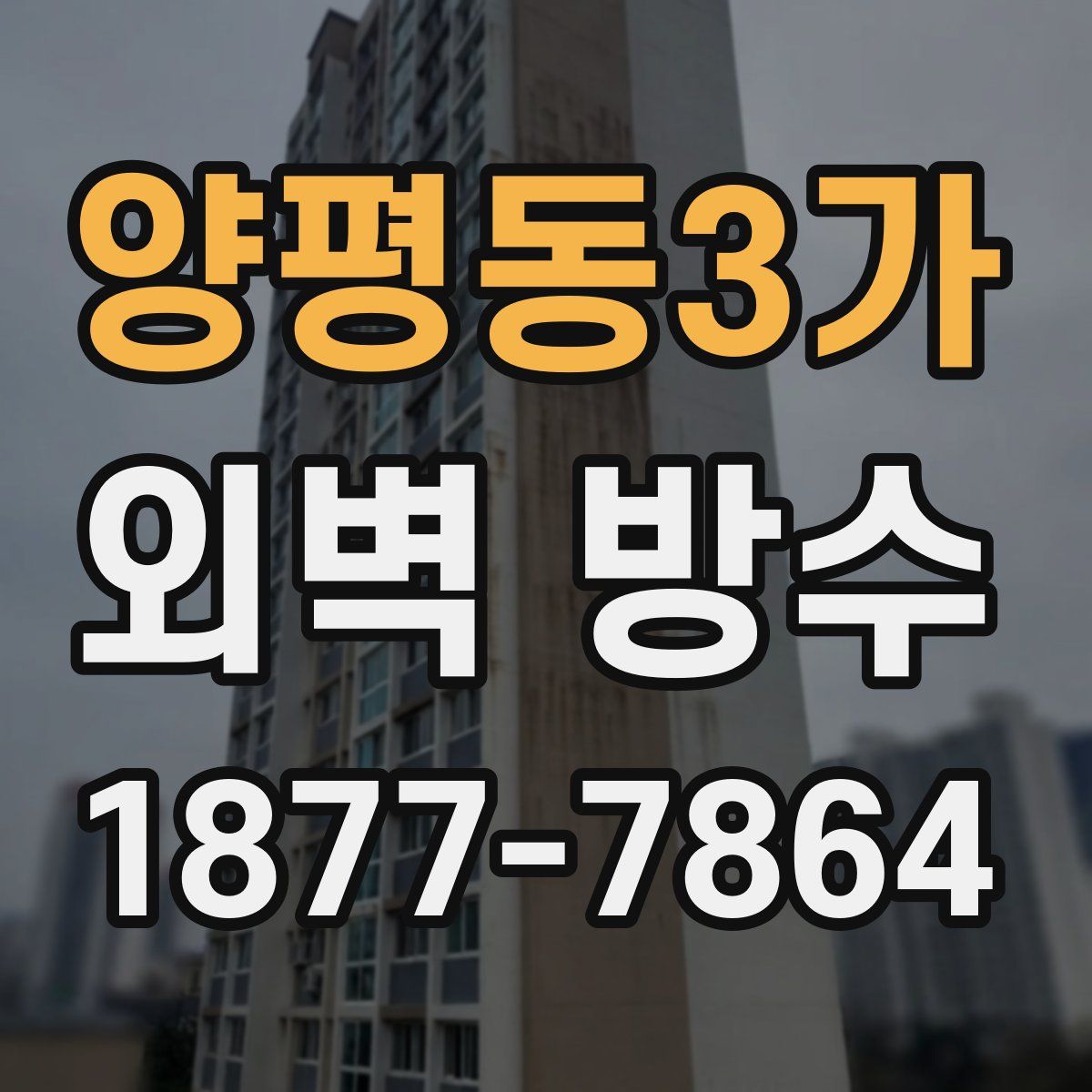 양평동3가 외벽 방수