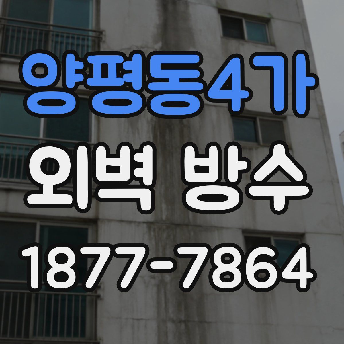 양평동4가 외벽 방수