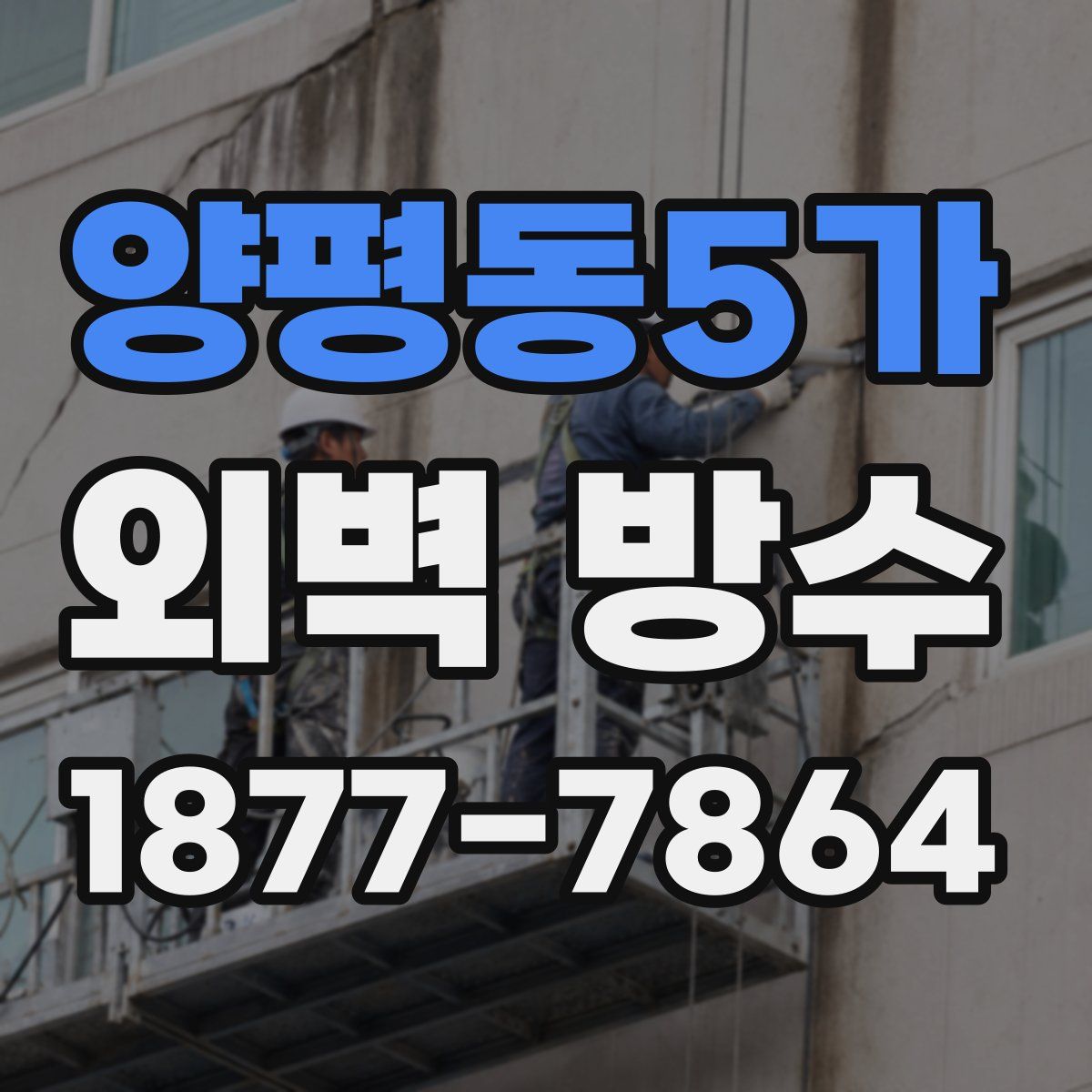 양평동5가 외벽 방수