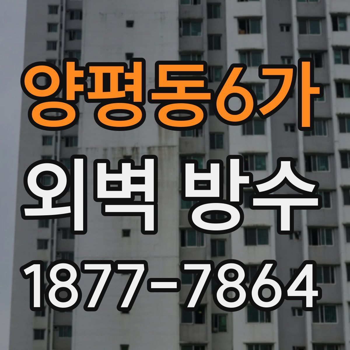 양평동6가 외벽 방수
