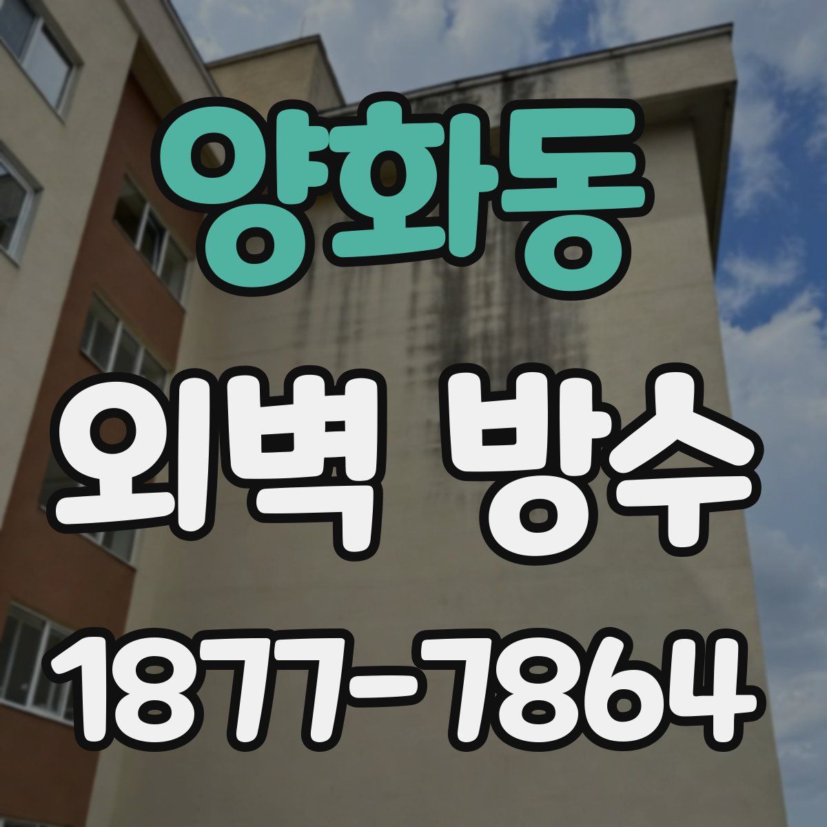 양화동 외벽 방수
