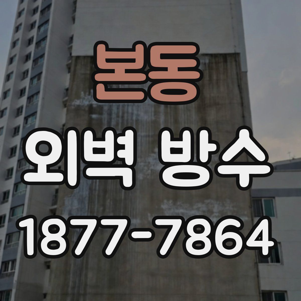 본동 외벽 방수