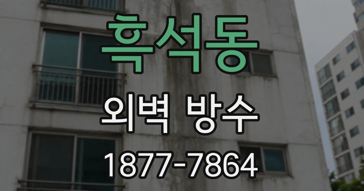 흑석동 외벽 방수