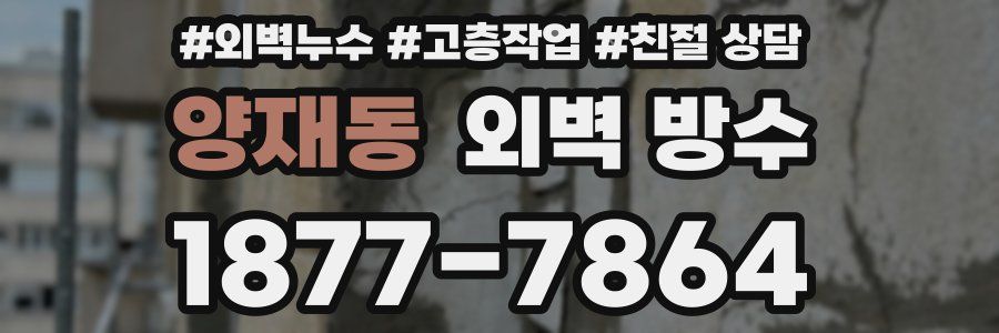 양재동 외벽 방수