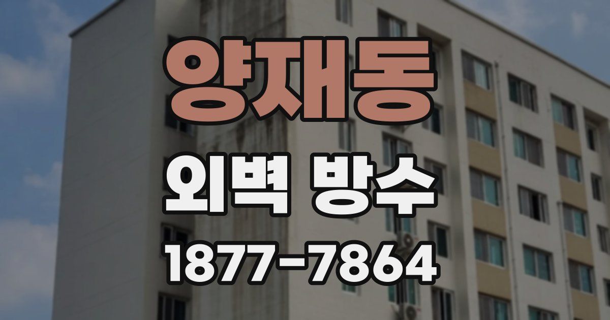 양재동 외벽 방수