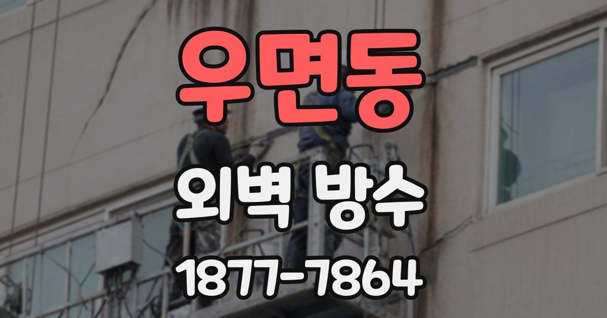 우면동 외벽 방수