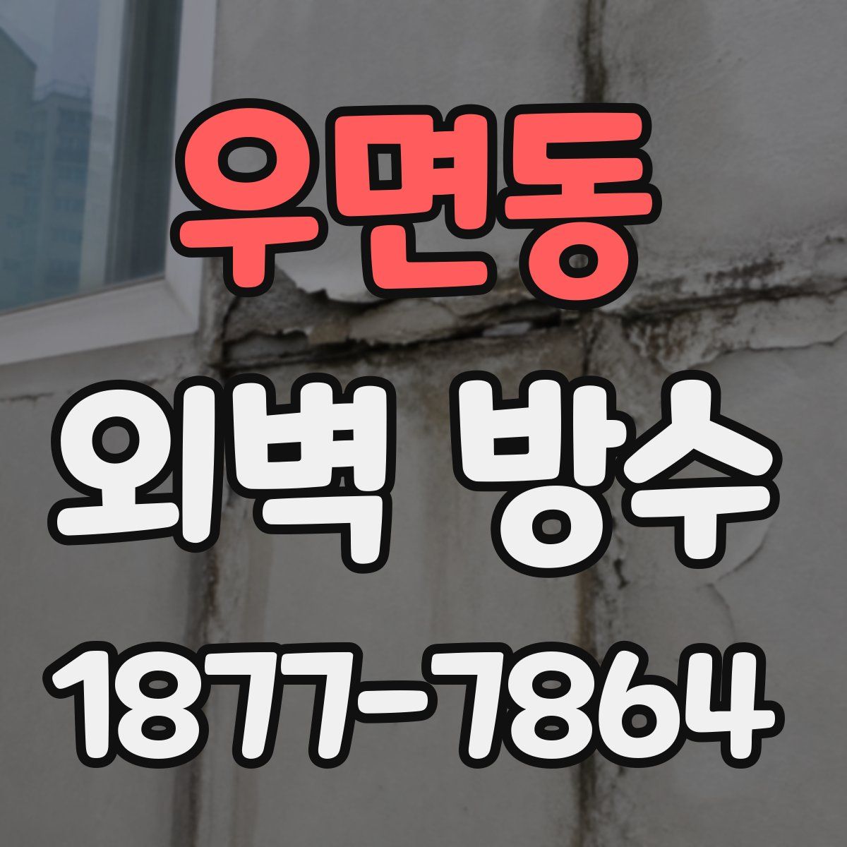 우면동 외벽 방수