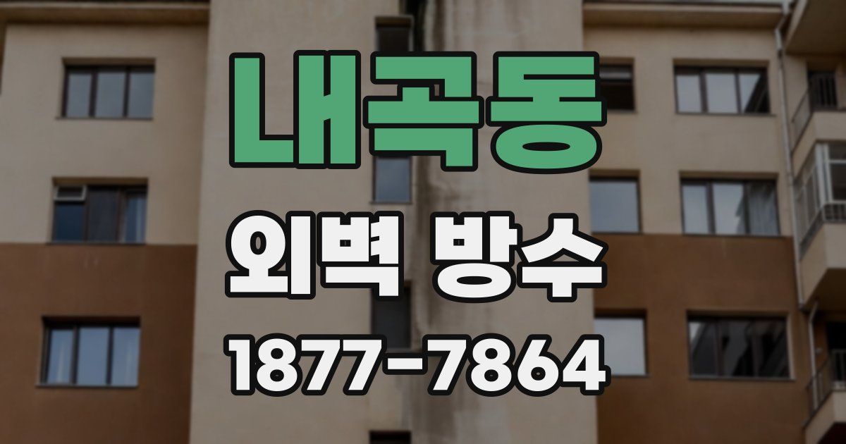 내곡동 외벽 방수