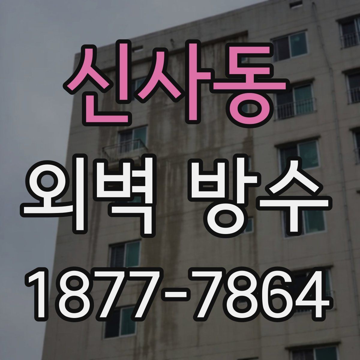 신사동 외벽 방수 업체 상담 전 준비할 질문