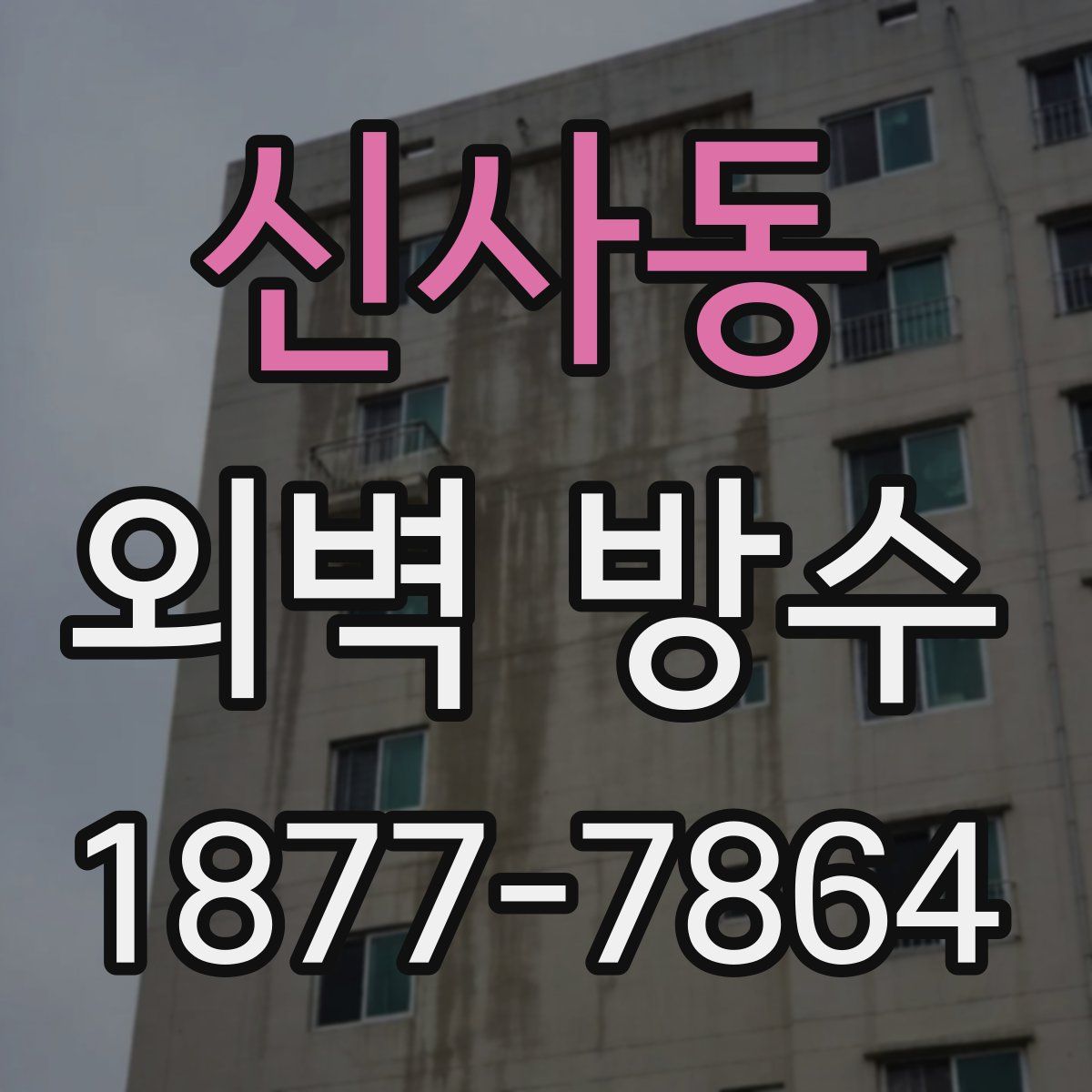 신사동 외벽 방수