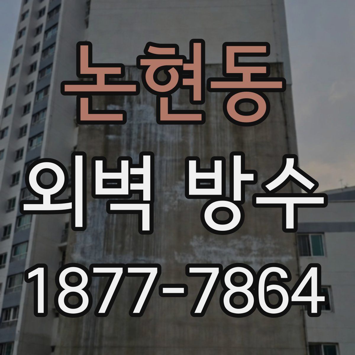 논현동 외벽 방수