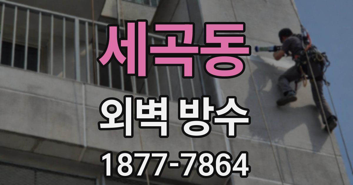 세곡동 외벽 방수