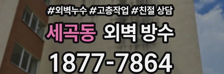 세곡동 외벽 방수