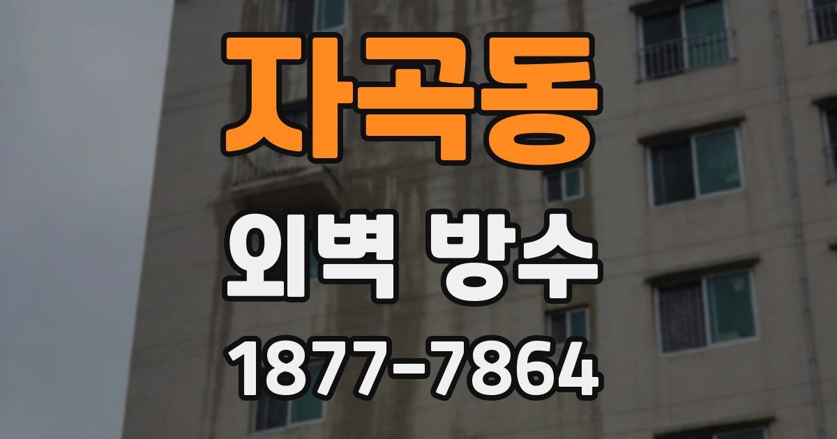 자곡동 외벽 방수