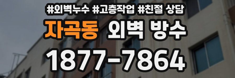 자곡동 외벽 방수