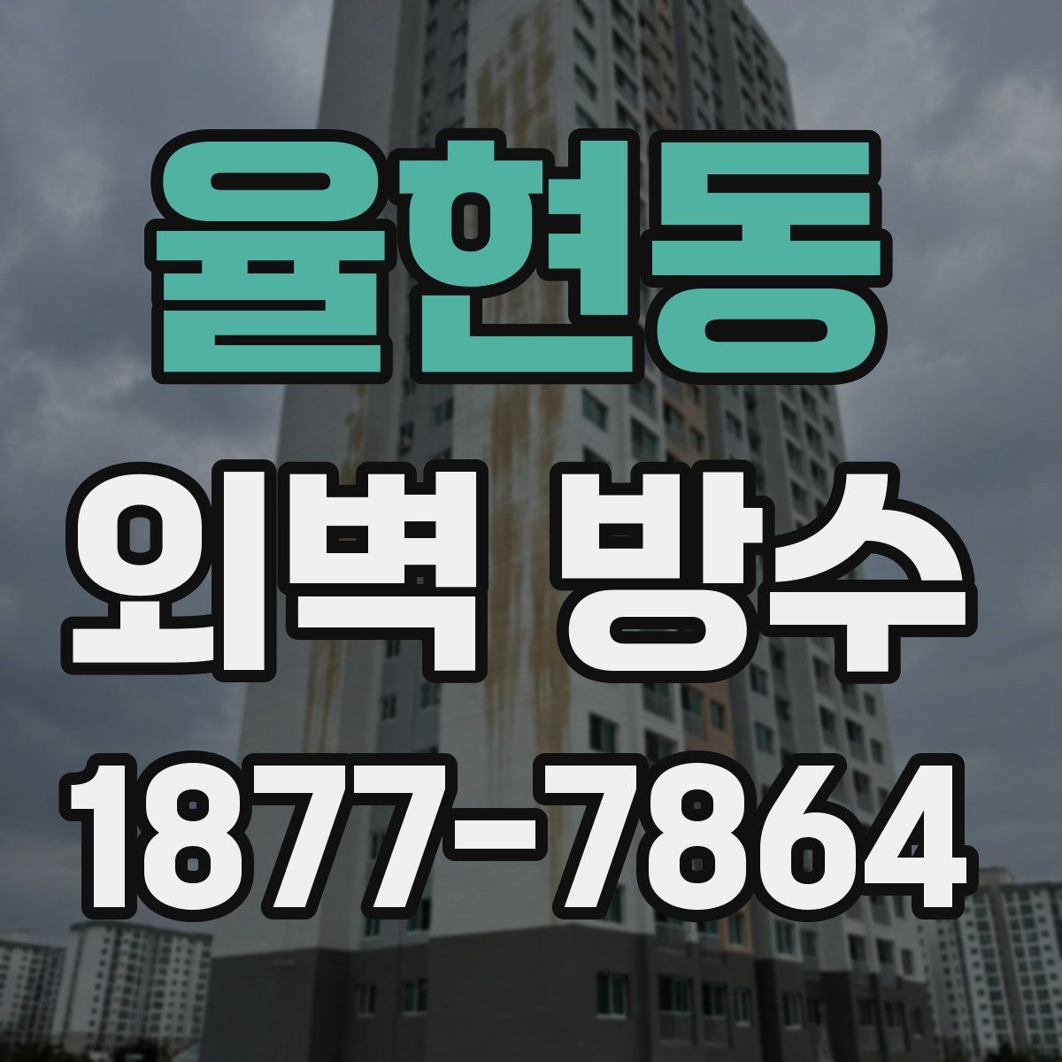 율현동 외벽 방수