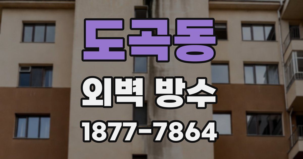 도곡동 외벽 방수
