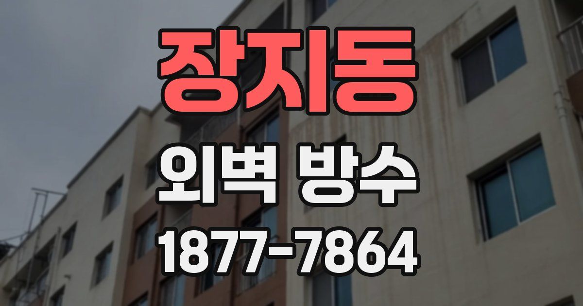 장지동 외벽 방수