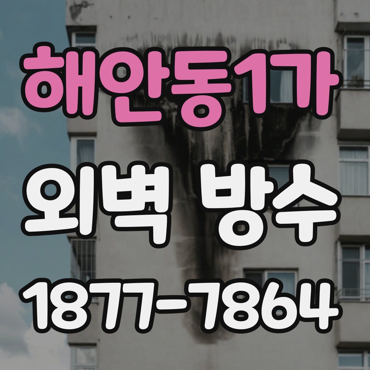 해안동1가 외벽 방수