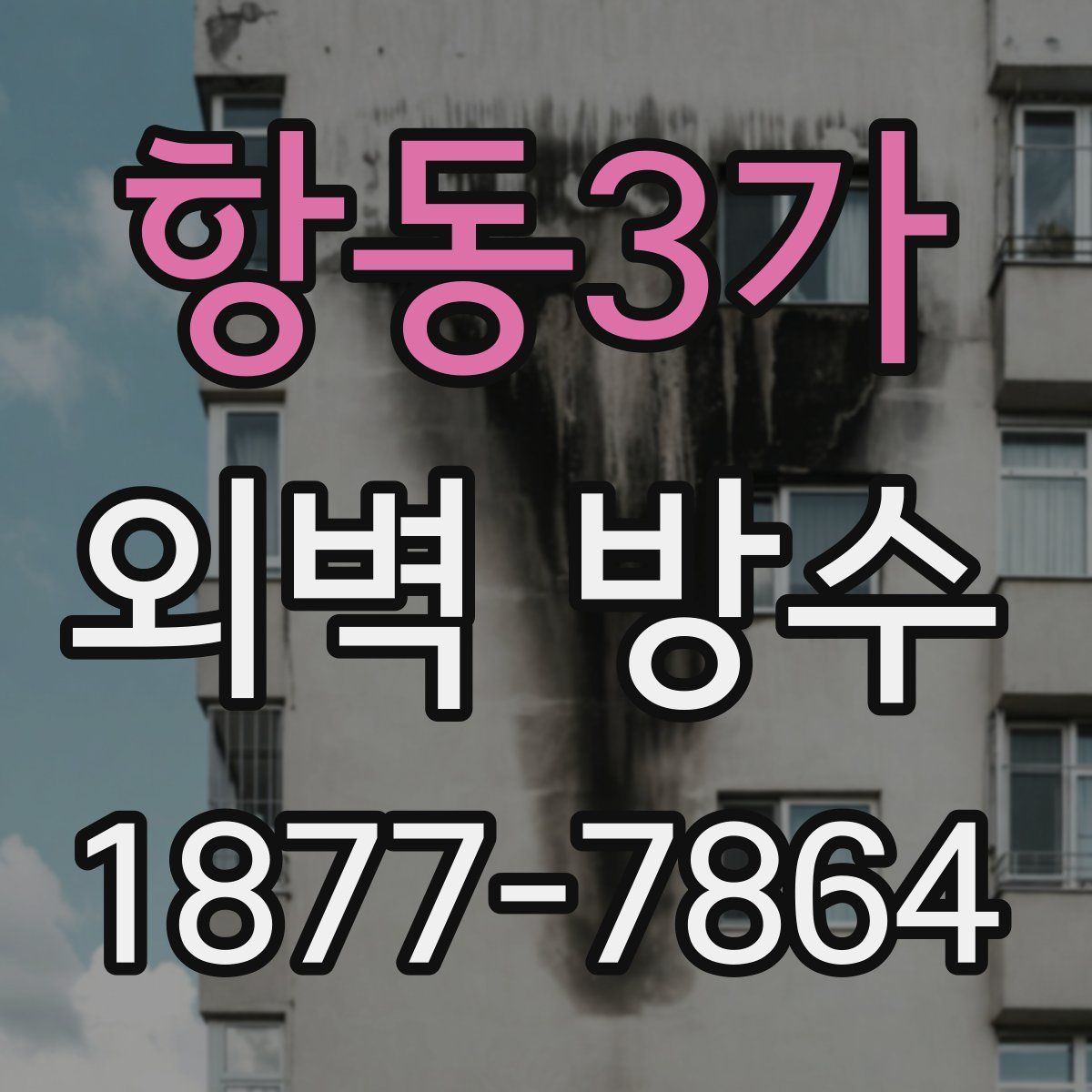 항동3가 외벽 방수