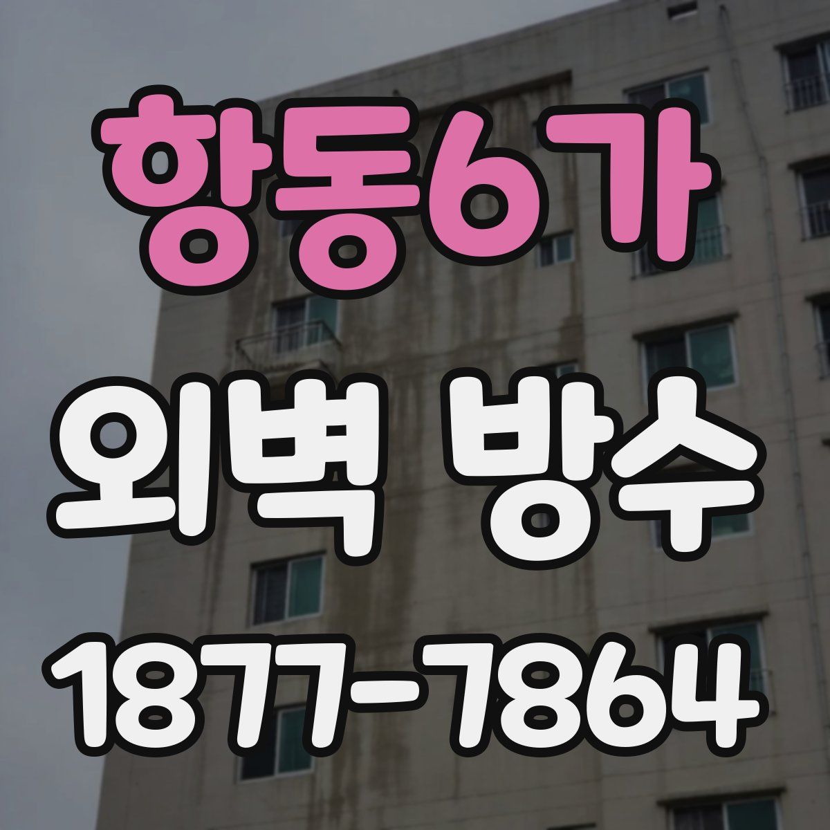 항동6가 외벽 방수