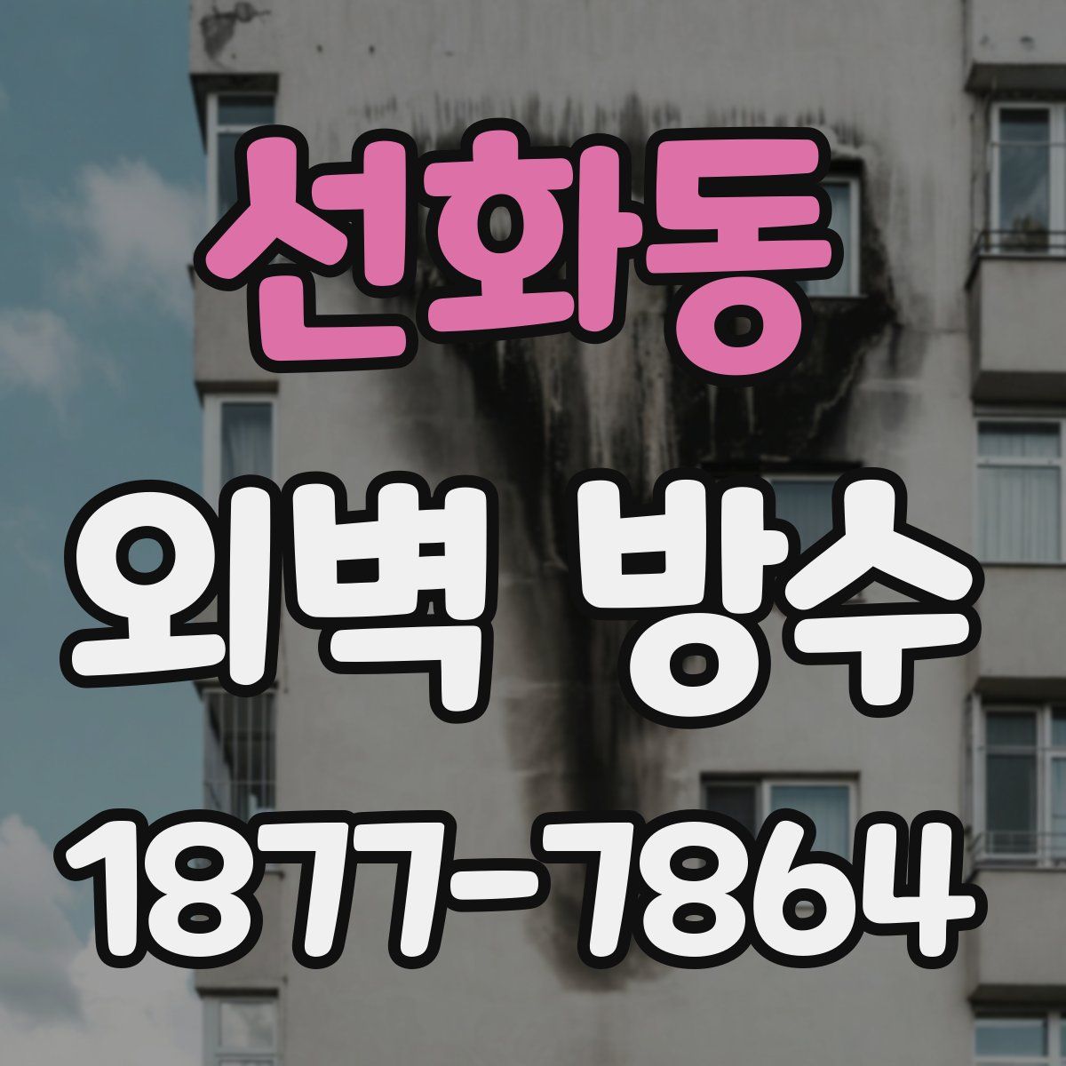 선화동 외벽 방수