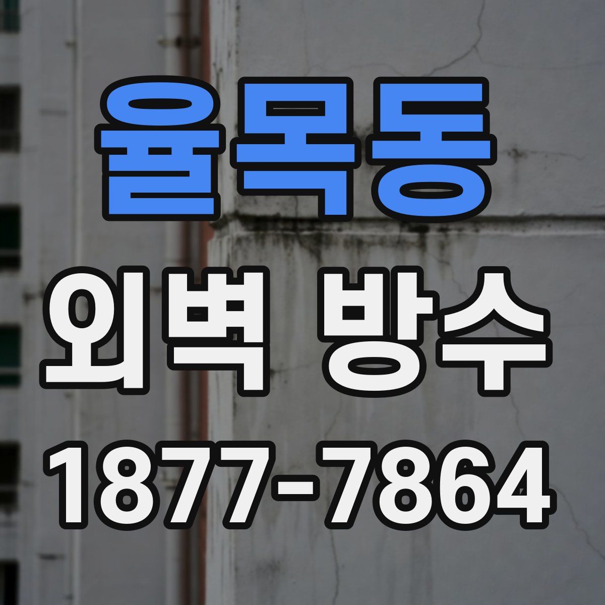 율목동 외벽 방수