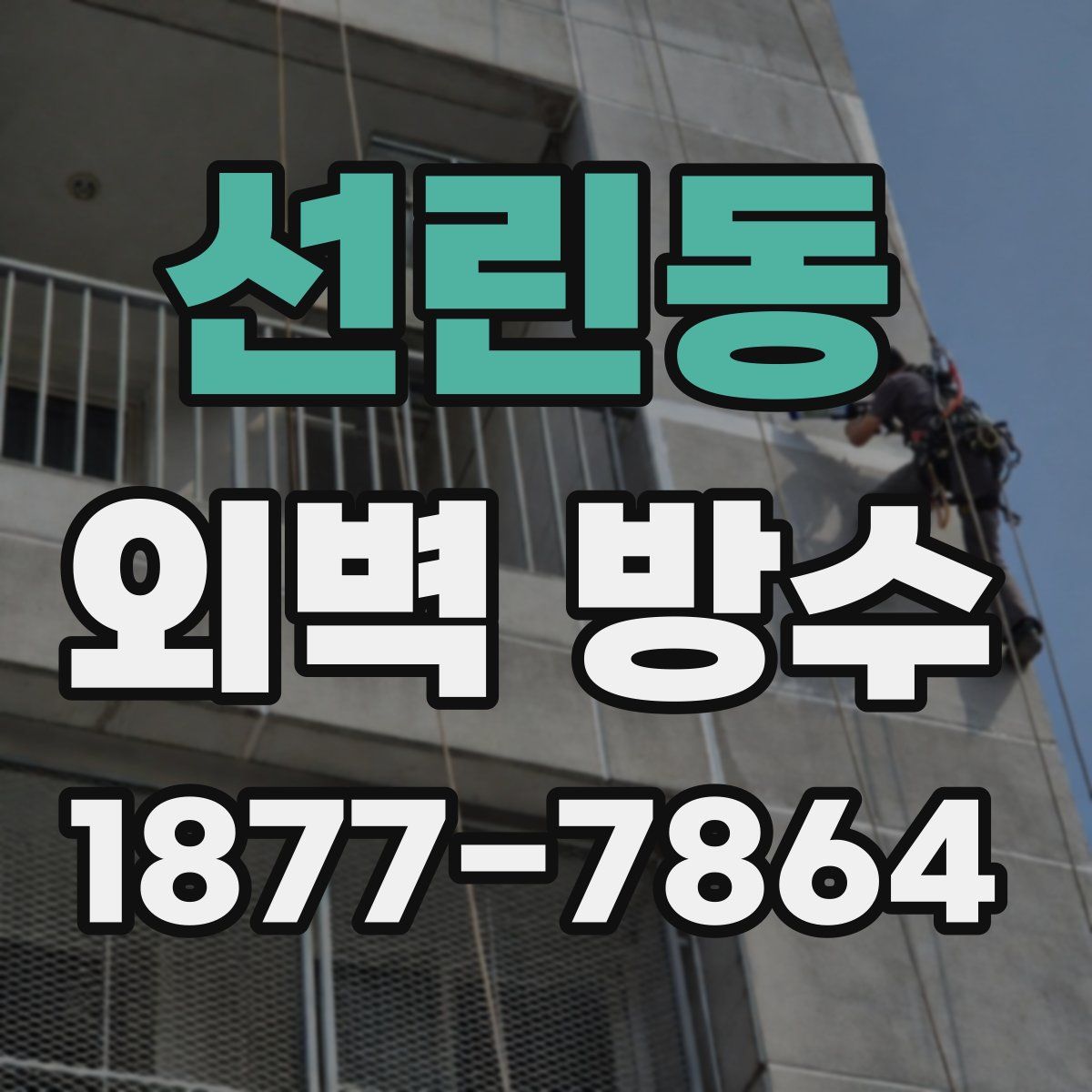 선린동 외벽 방수