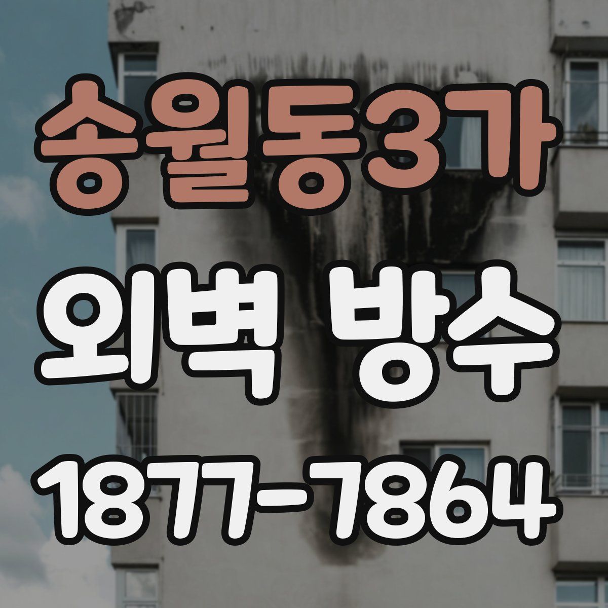 송월동3가 외벽 방수