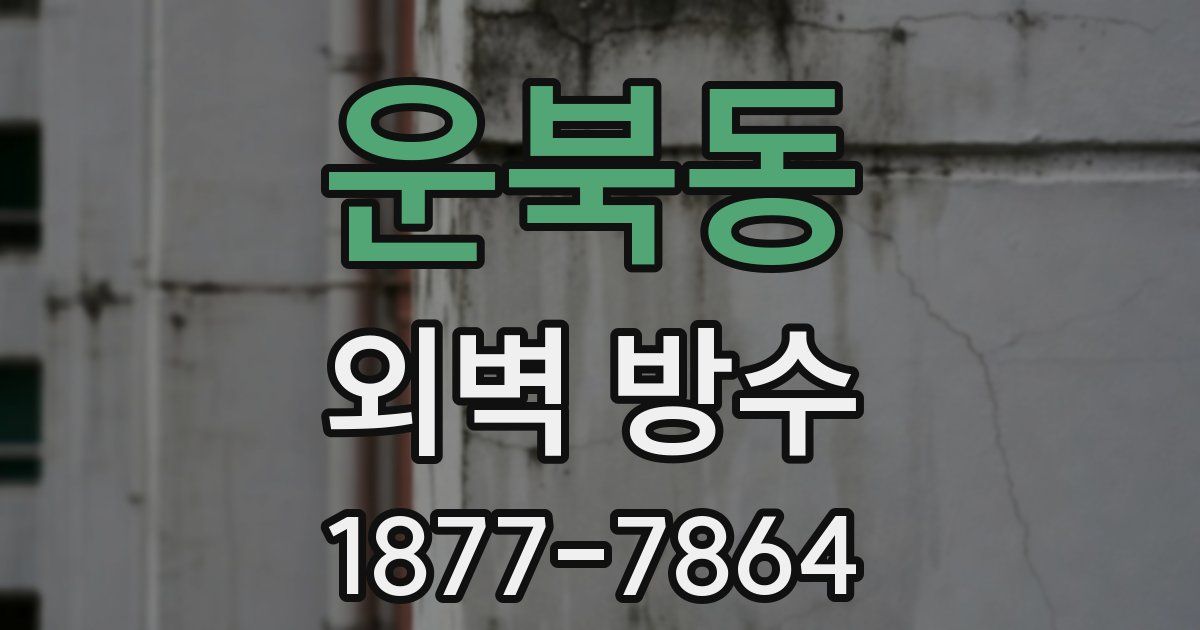 운북동 외벽 방수