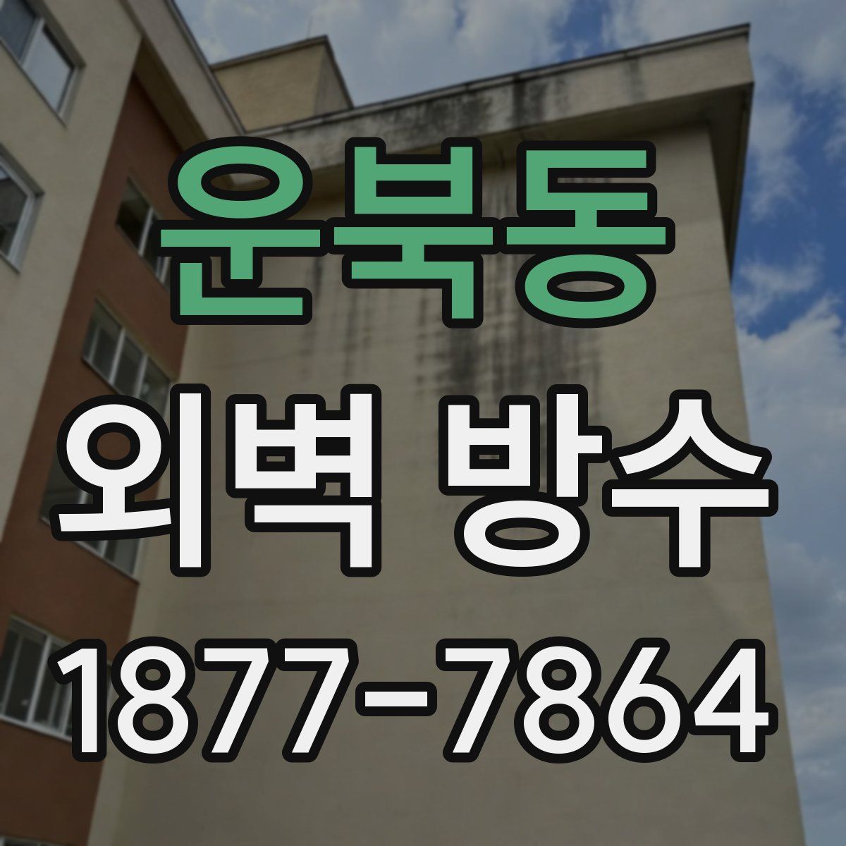 운북동 외벽 방수