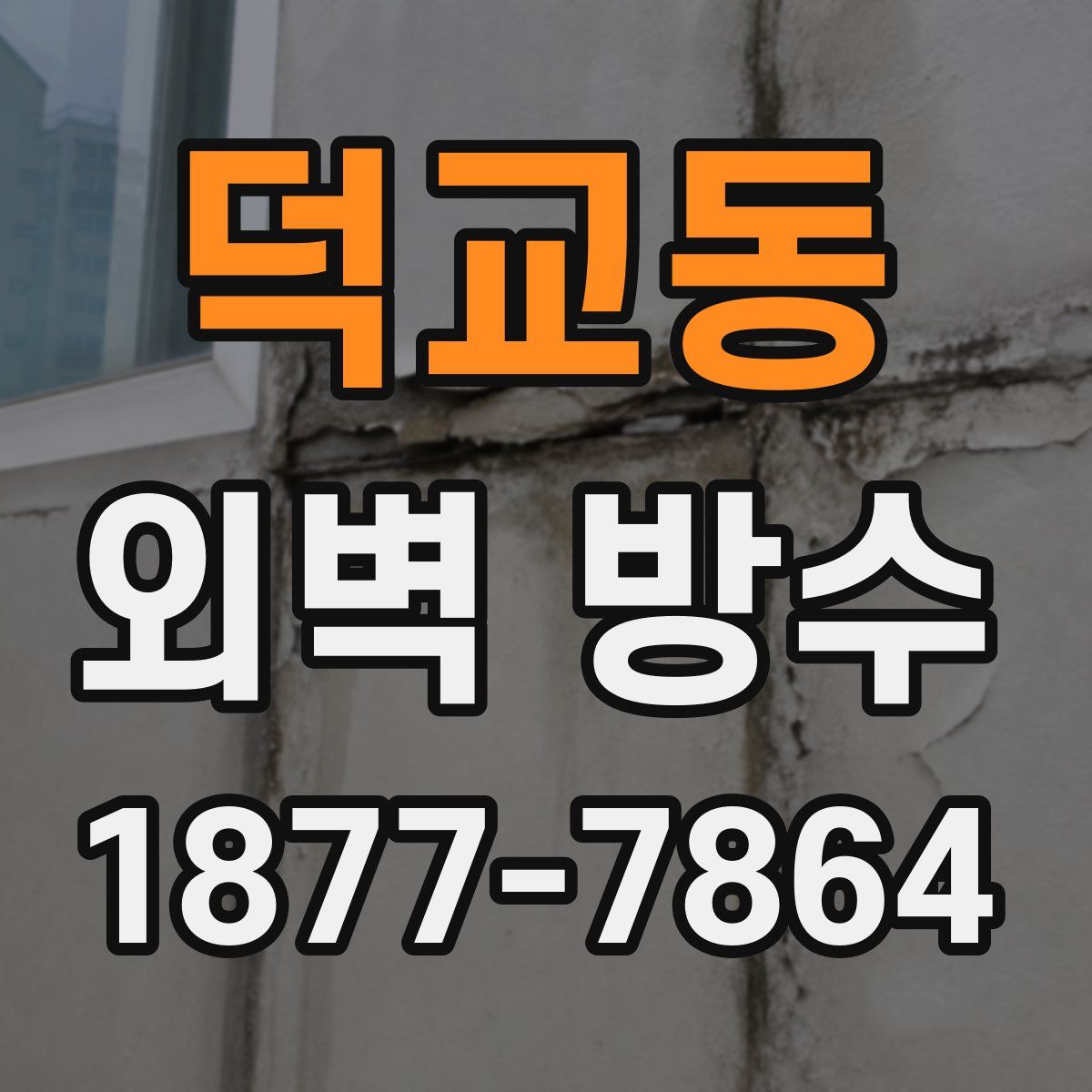 덕교동 외벽 방수