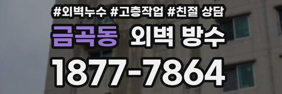 금곡동 외벽 방수