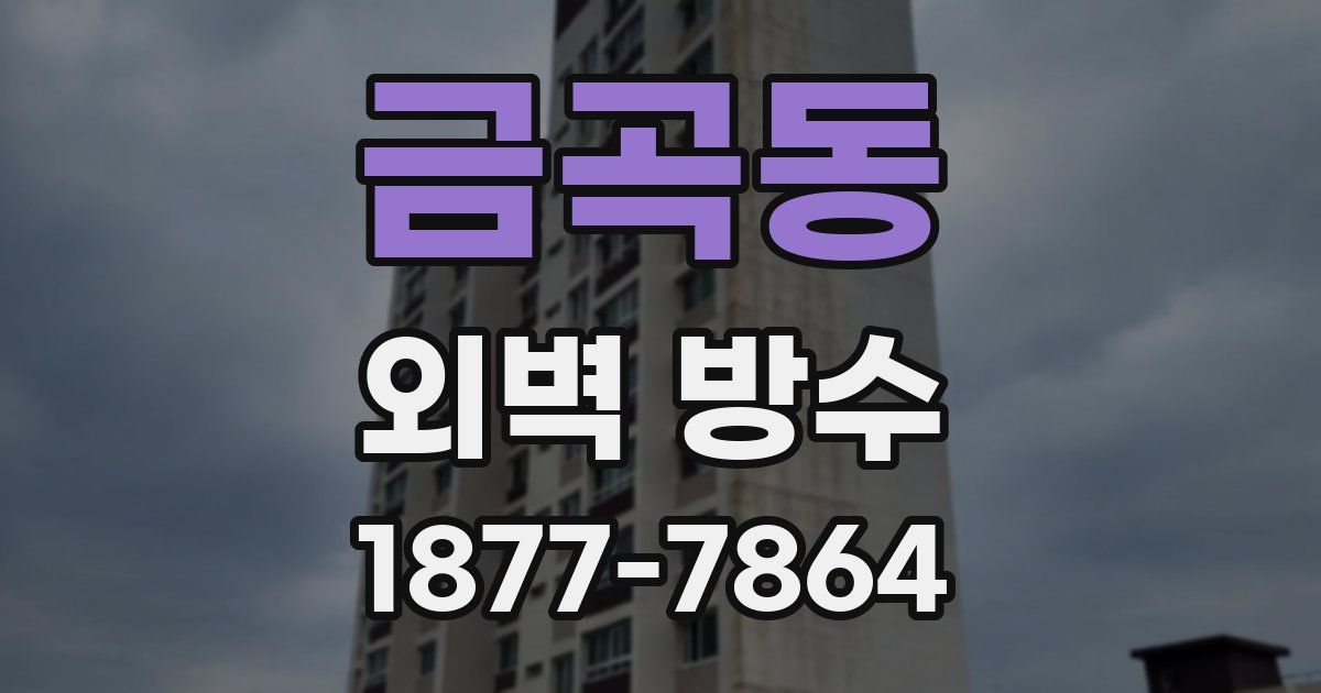 금곡동 외벽 방수