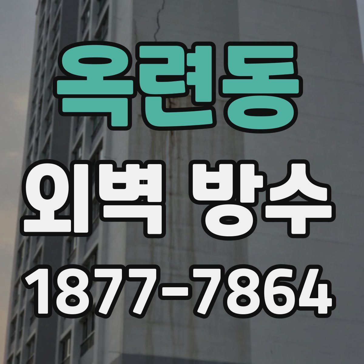 옥련동 외벽 방수