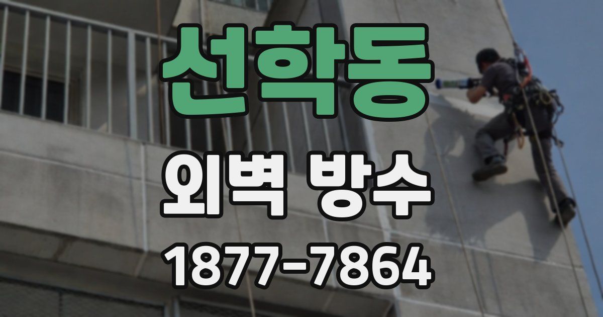 선학동 외벽 방수