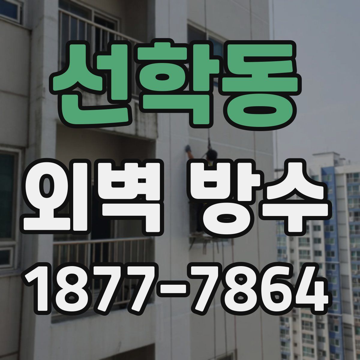 선학동 외벽 방수