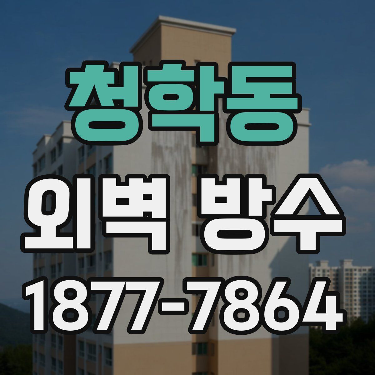 청학동 외벽 방수