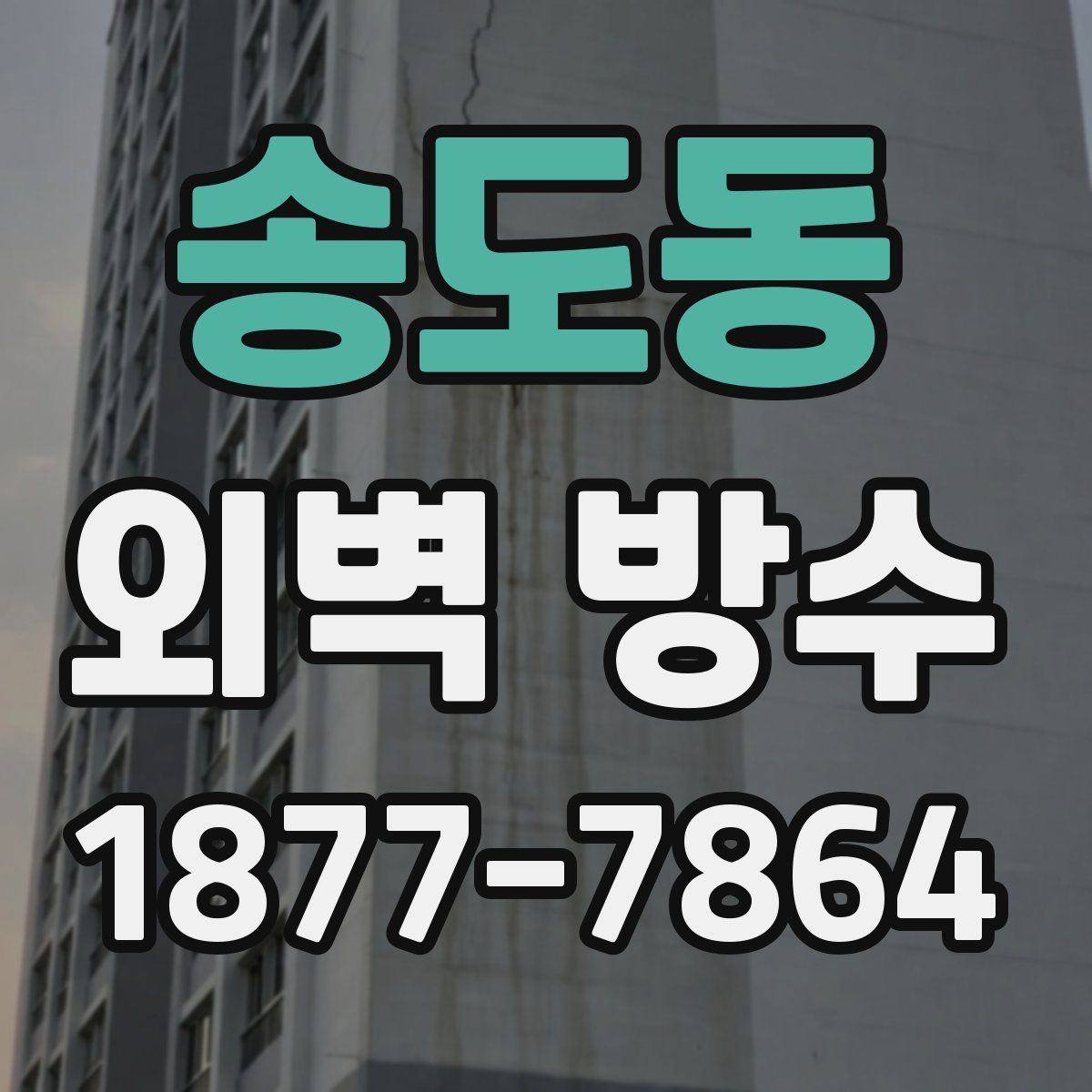 송도동 외벽 방수
