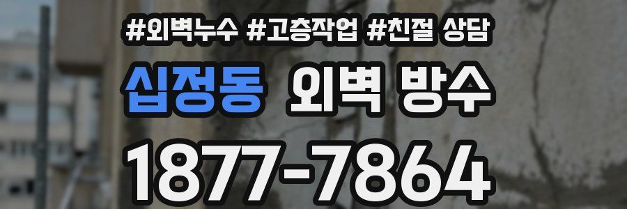 십정동 외벽 방수