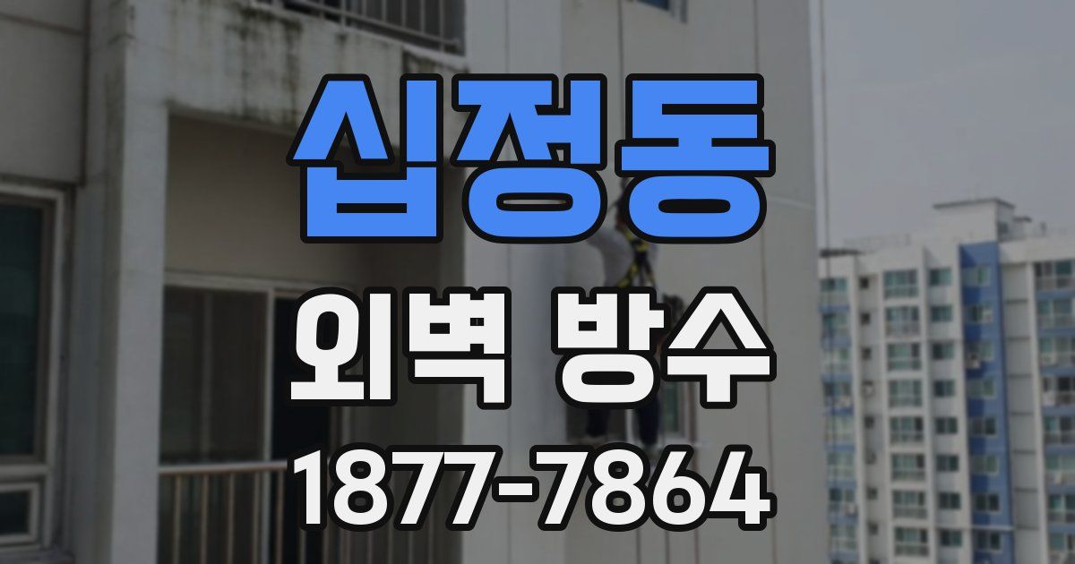 십정동 외벽 방수