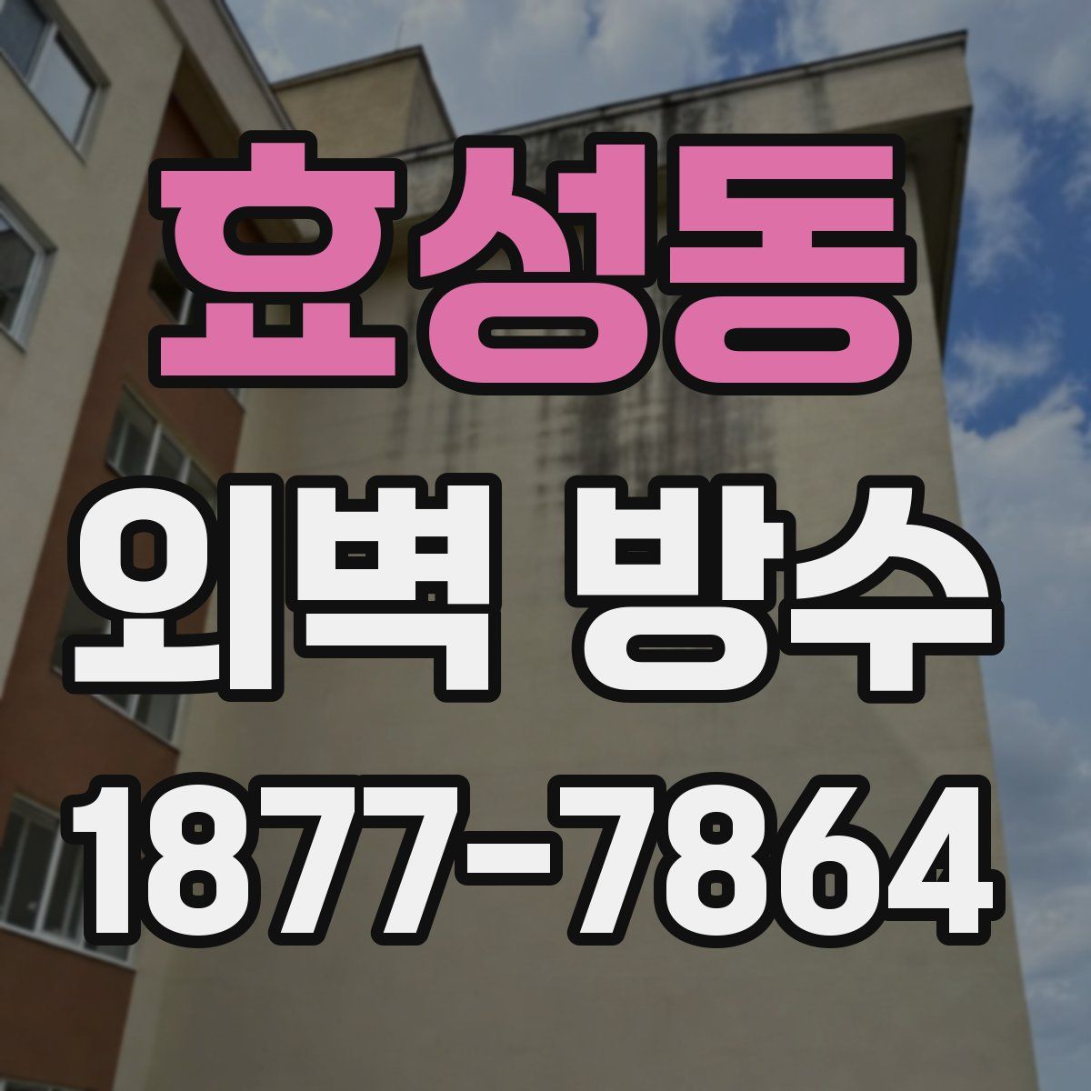 효성동 외벽 방수