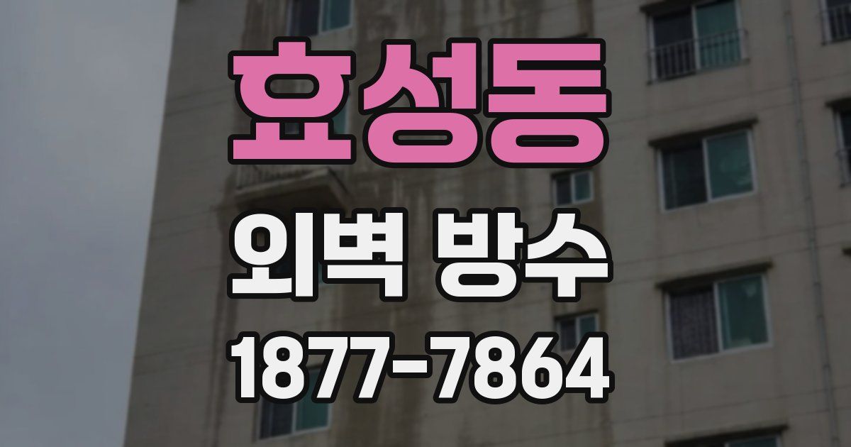 효성동 외벽 방수