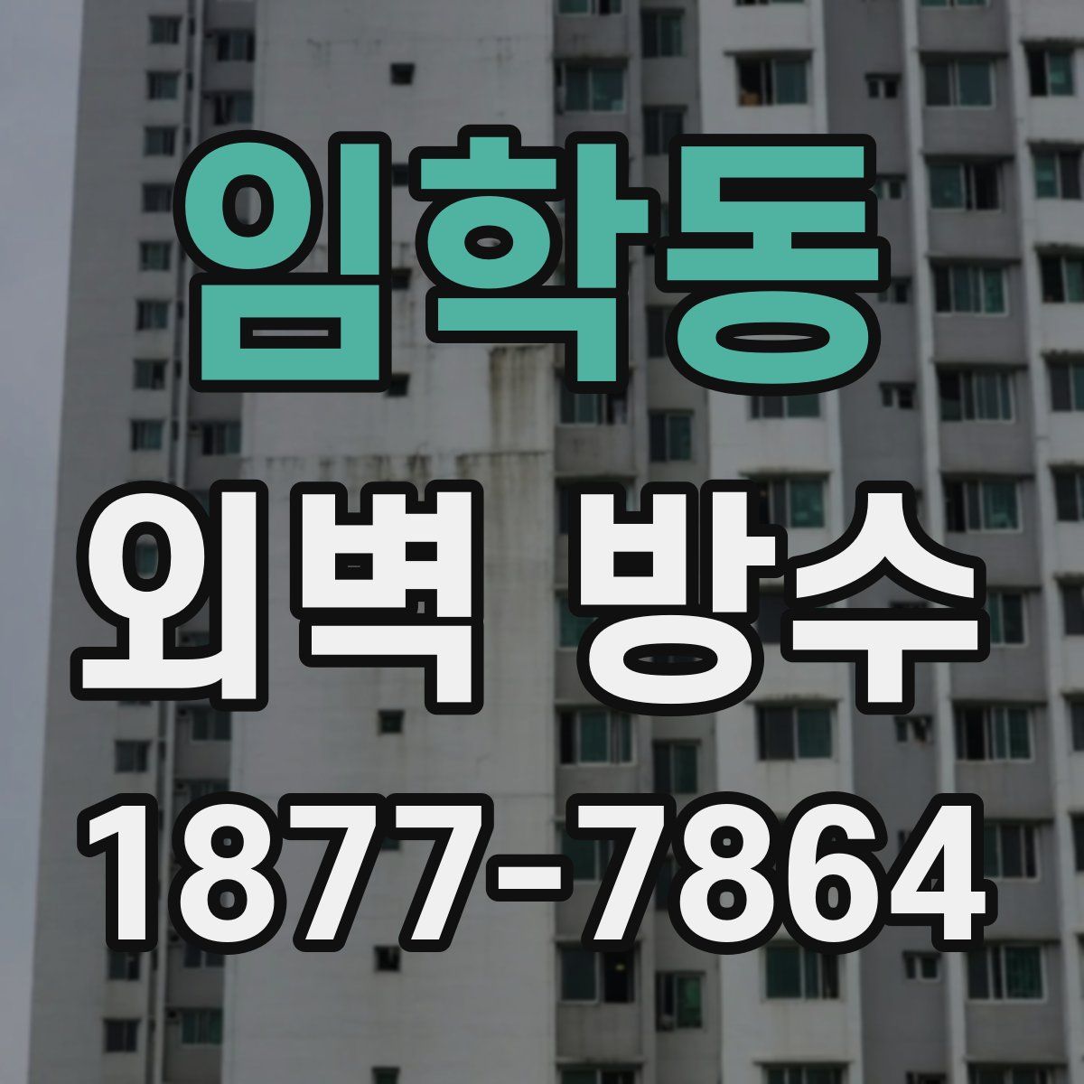 임학동 외벽 방수