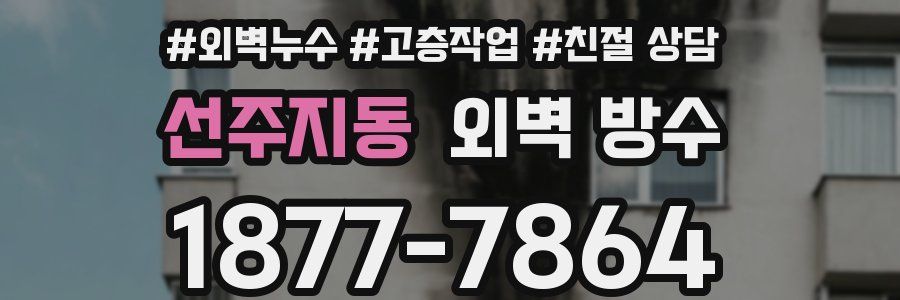 선주지동 외벽 방수