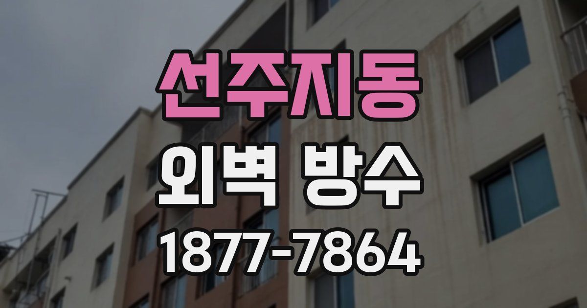 선주지동 외벽 방수