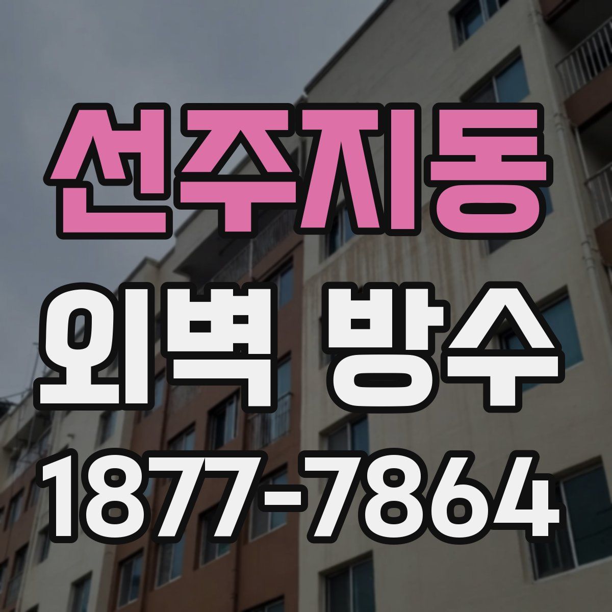 선주지동 외벽 방수