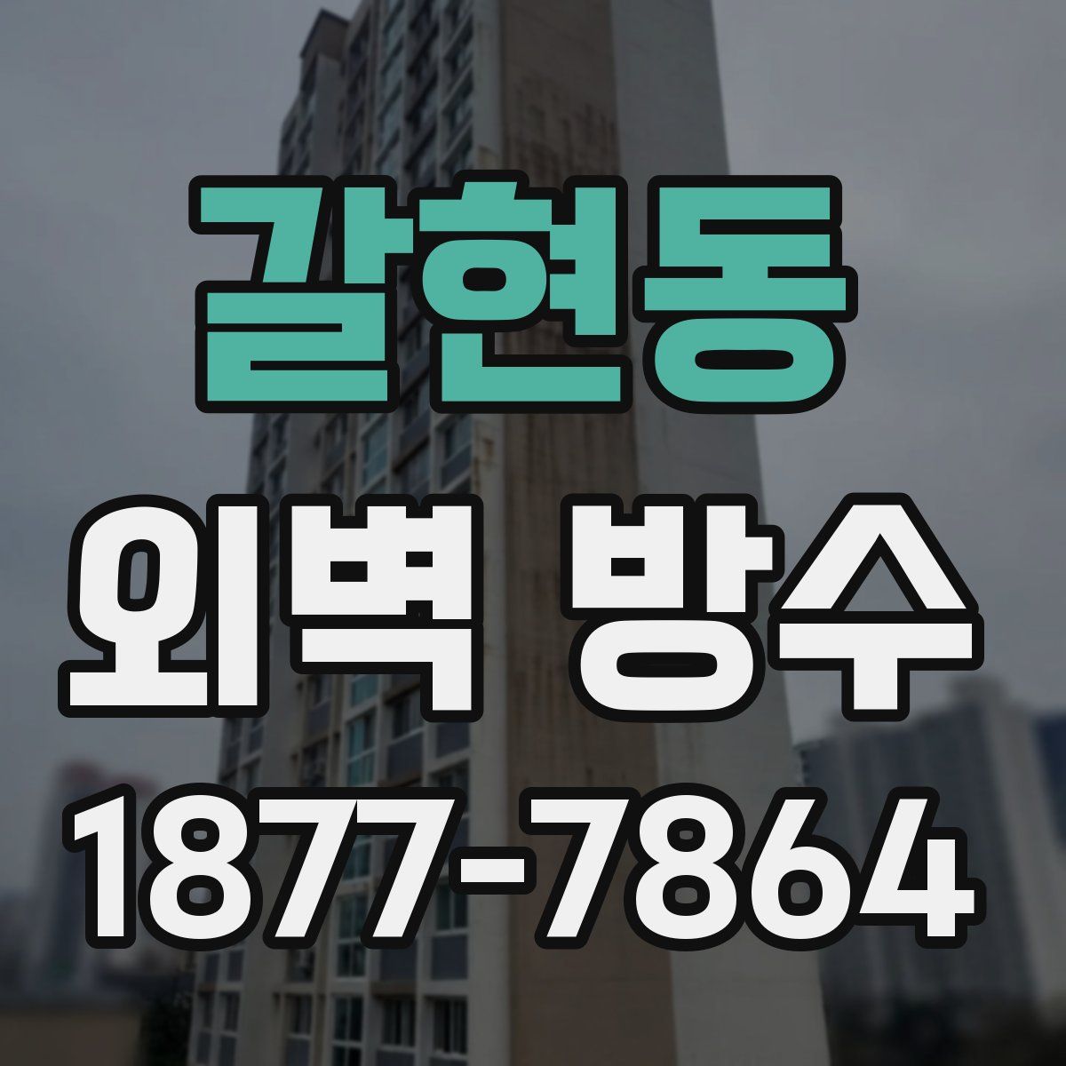 갈현동 외벽 방수
