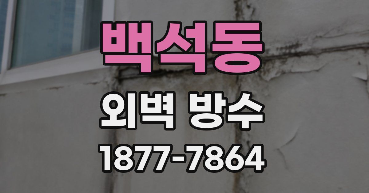 백석동 외벽 방수